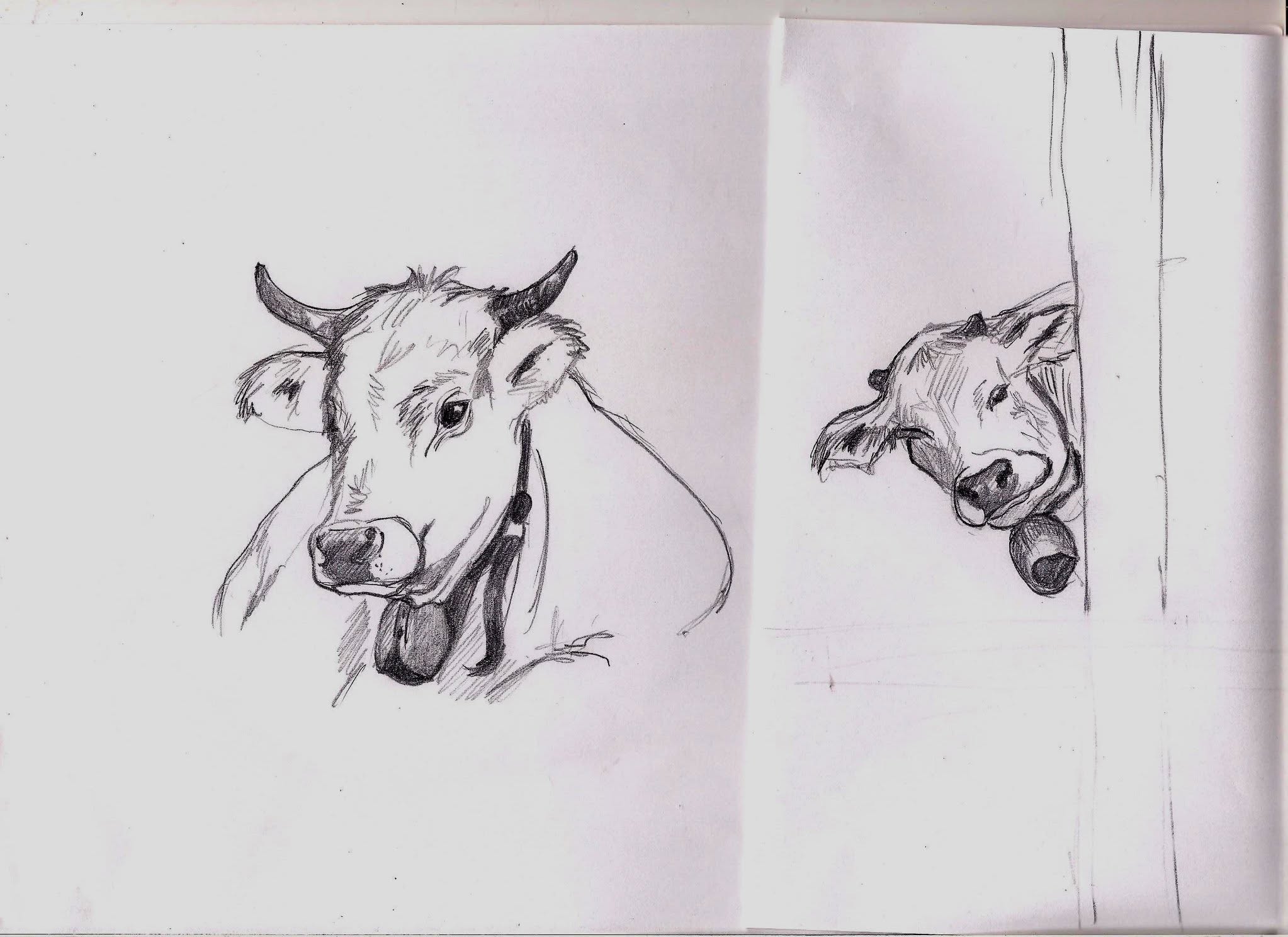 Opera della sezione Disegni